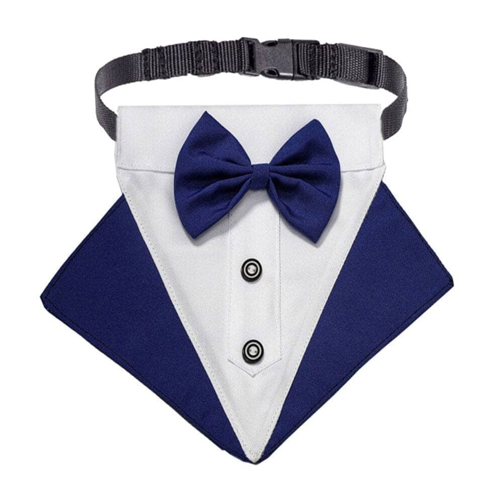 Dog Tuxedo Collar 0 BonaceBoutique Blue & White S 