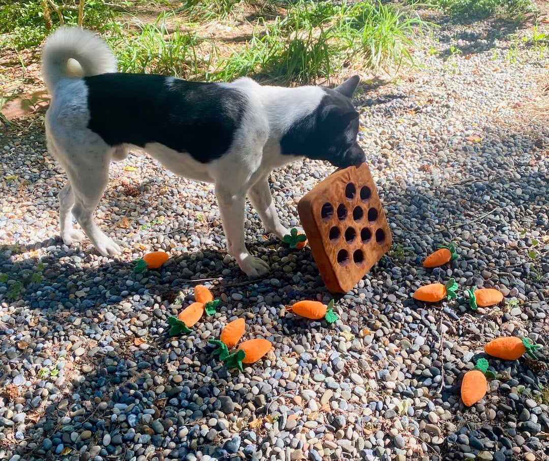 Carrot Farm Snuffle Mat – DoggosEmporium