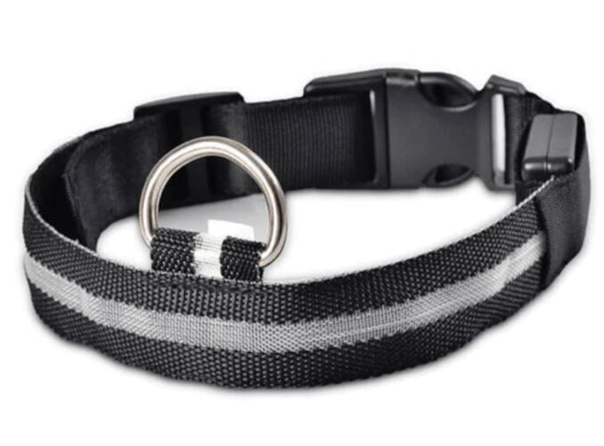 Illuminated LED Dog Collar 0 BonaceBoutique Black S 