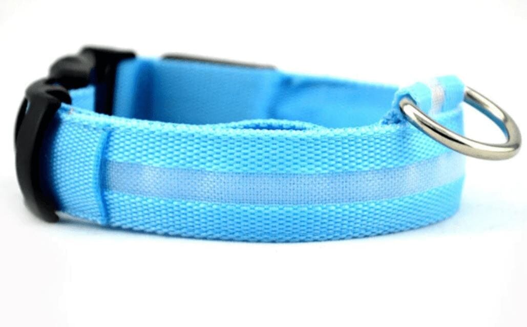 Illuminated LED Dog Collar 0 BonaceBoutique Deep Sky Blue S 