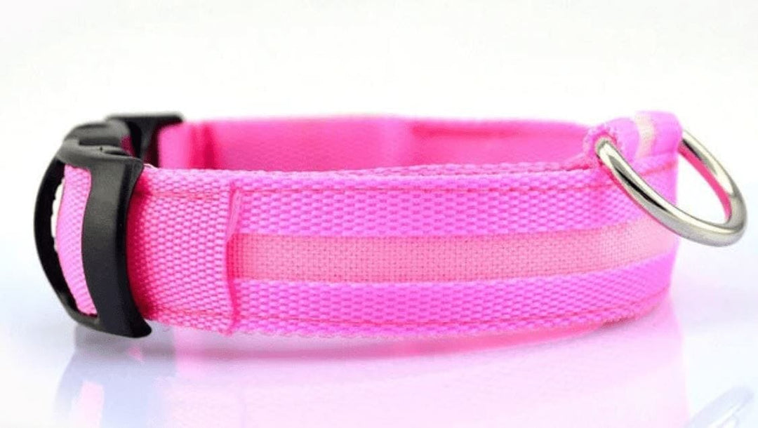 Illuminated LED Dog Collar 0 BonaceBoutique Hot Pink S 