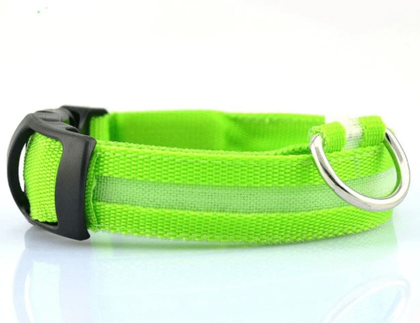 Illuminated LED Dog Collar 0 BonaceBoutique Lime S 