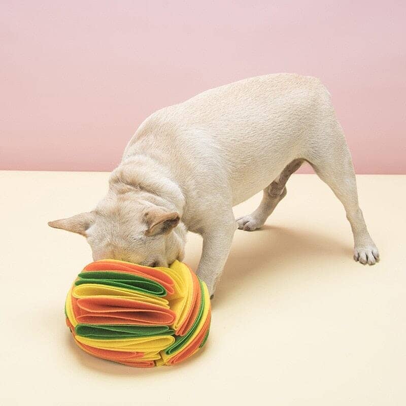 Interactive Dog Snuffle Ball 0 BonaceBoutique 