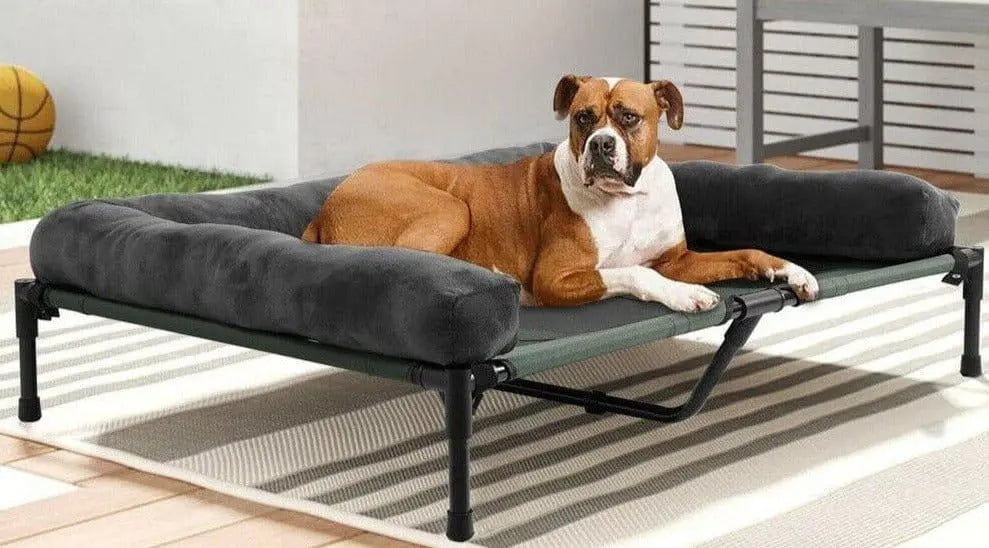 Shop Large Dog Breed Elevated Dog Beds OnePaw – OnePaw Dog Company