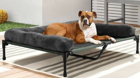 Large Dog Breed Elevated Dog Beds 0 BonaceBoutique 