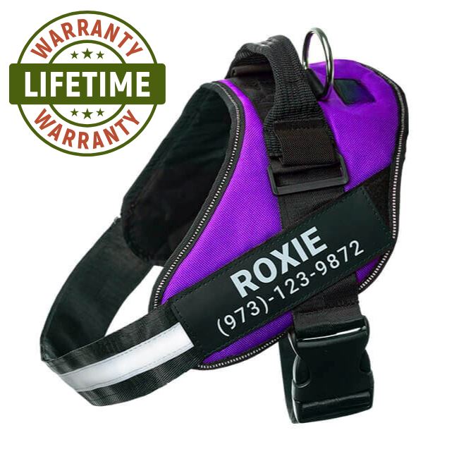 Lifetime Warranty Personalized NO PULL Harness 0 BonaceBoutique Purple XS 