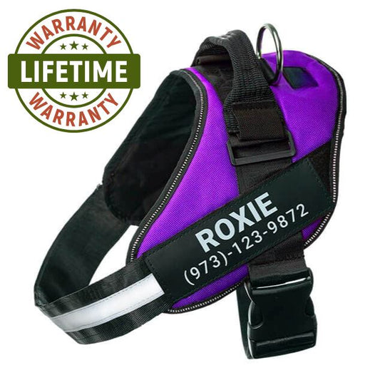 Lifetime Warranty Personalized NO PULL Harness 0 BonaceBoutique Purple XS 