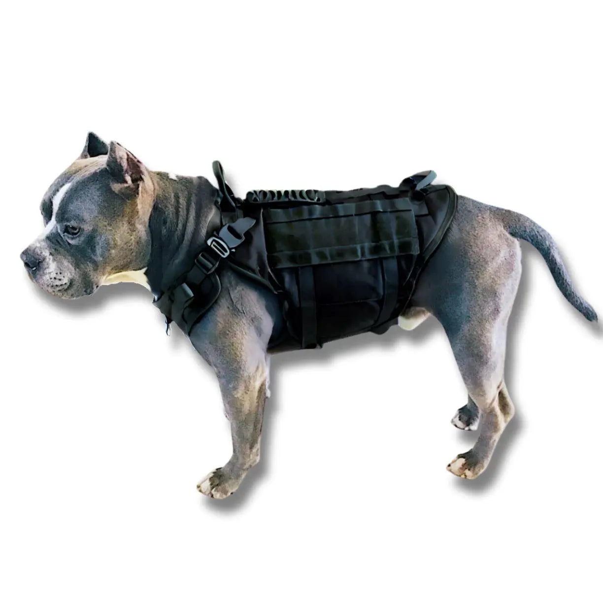 Tactical dog sales harness with handle