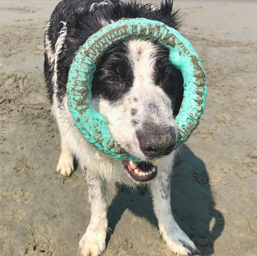 Outdoor Beach Frisbee 0 BonaceBoutique 