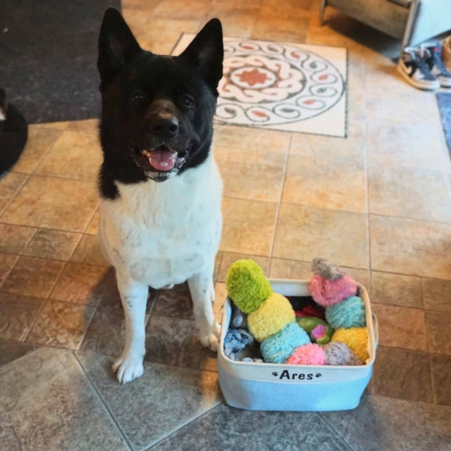 Personalized Dog Toy Storage Basket 0 BonaceBoutique 