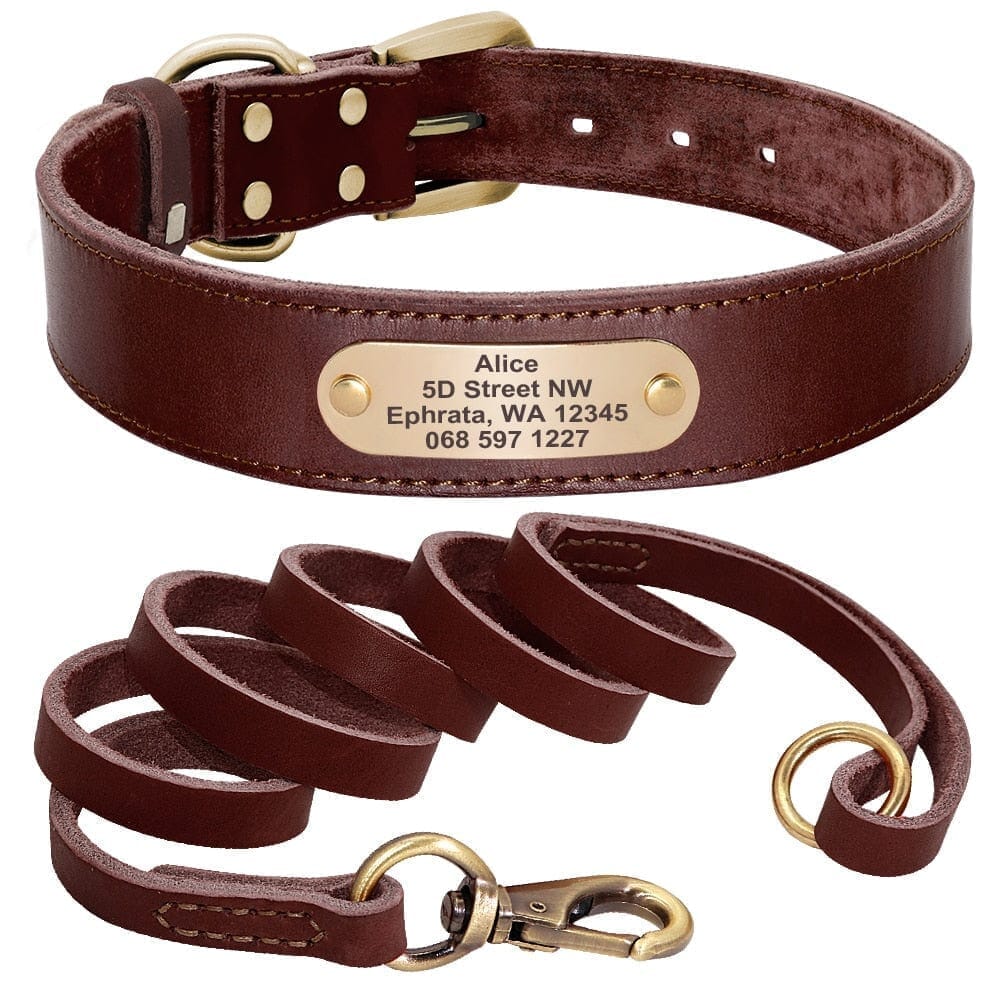 Personalized Genuine Leather Dog Collar BonaceBoutique Brown Set XS 