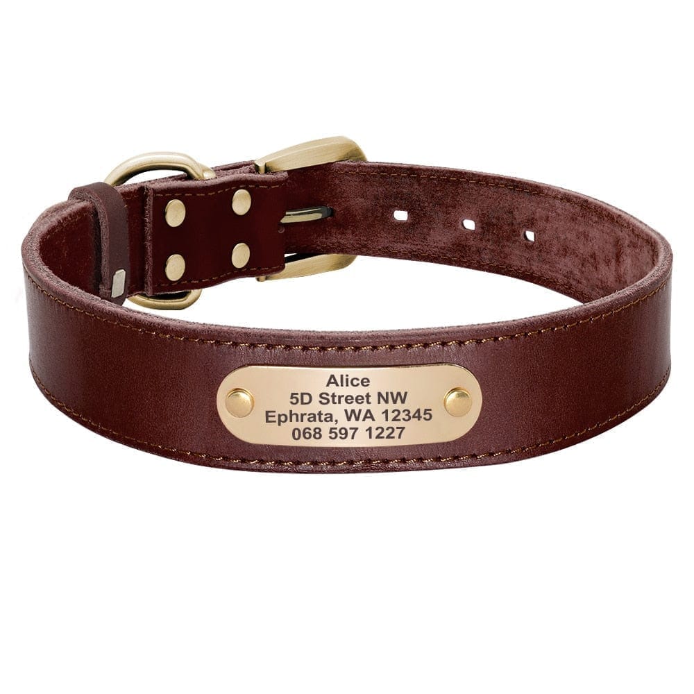 Personalized Genuine Leather Dog Collar BonaceBoutique Brown XS 