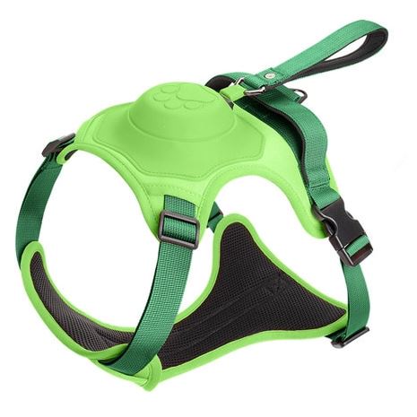 Premium Padded Harness with Retractable Leash 0 BonaceBoutique Green M 