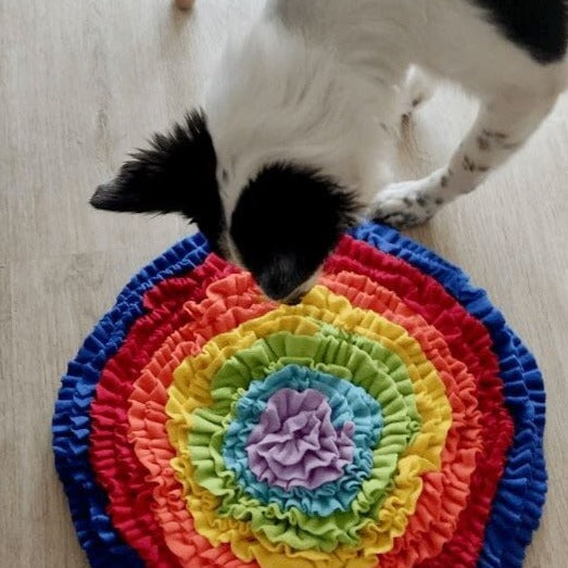 Rainbow Snuffle Mat 0 BonaceBoutique 