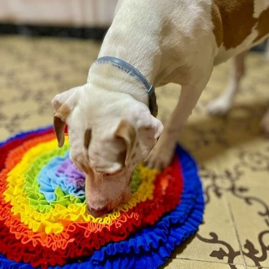 Rainbow Snuffle Mat 0 BonaceBoutique 