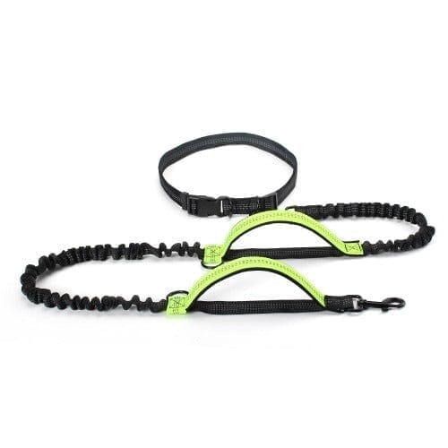 Retractable Hands Free Dog Leash 0 BonaceBoutique Lime 