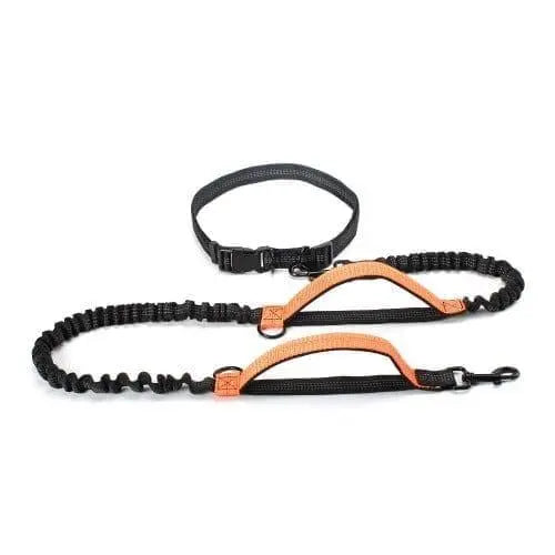 Retractable Hands Free Dog Leash 0 BonaceBoutique Orange 