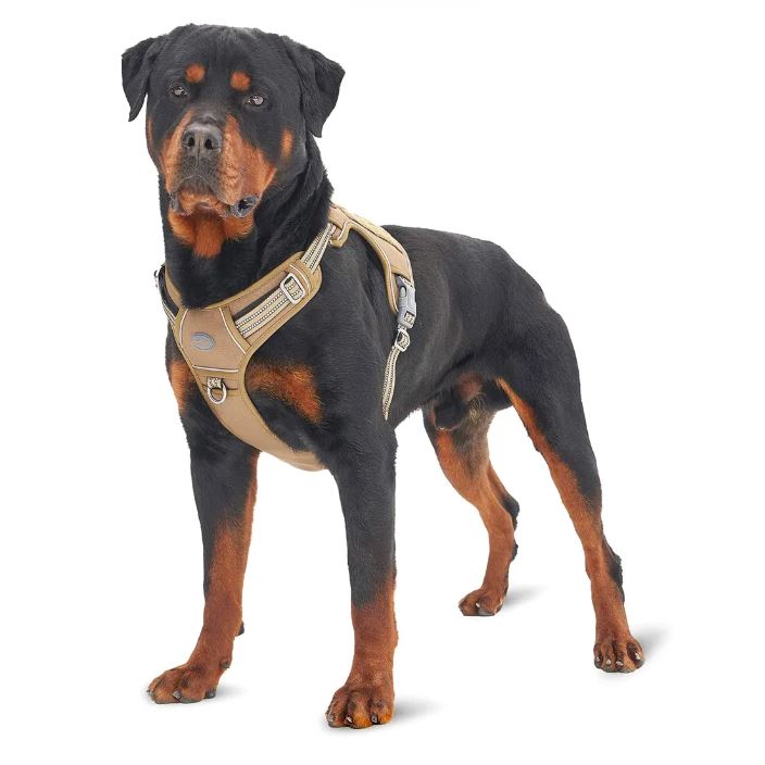 Large dog clearance harness no pull