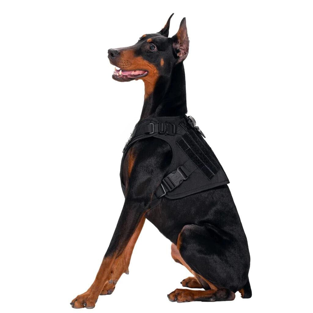 Doberman tactical harness sale