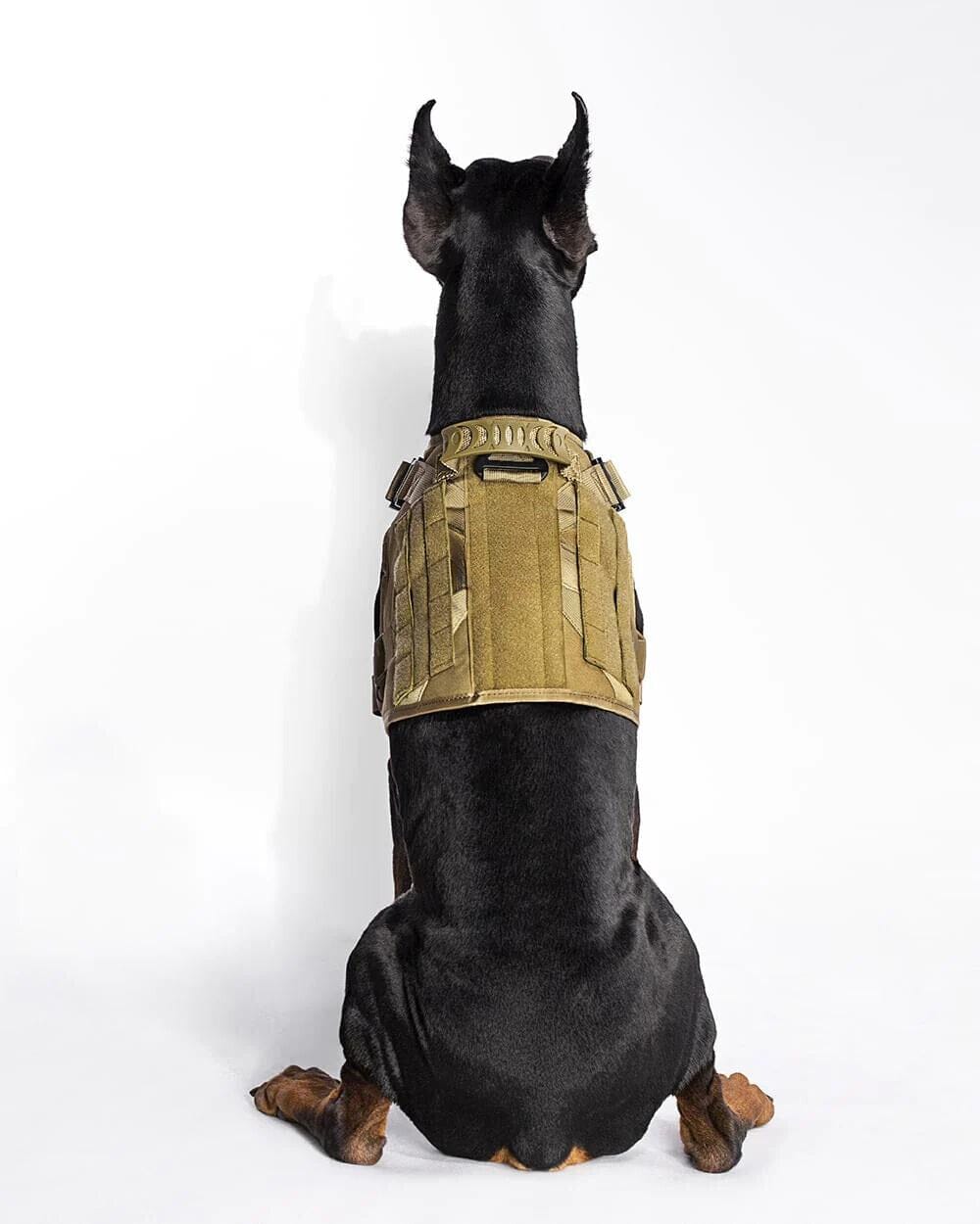 Compact k9 tactical molle dog sales vest small