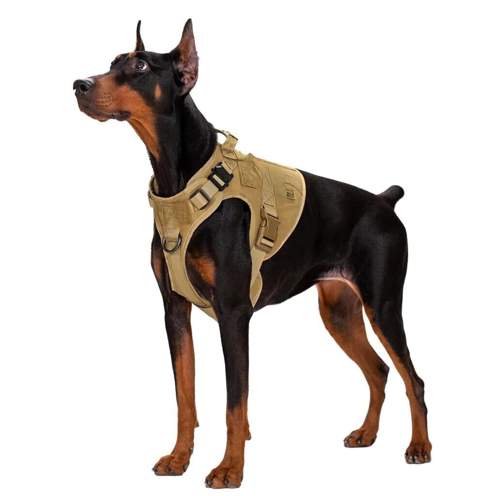 Doberman tactical outlet harness