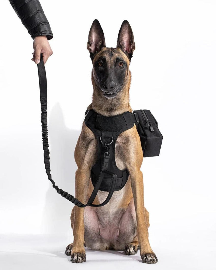 Tactical Harness + Leash Kit 0 BonaceBoutique 