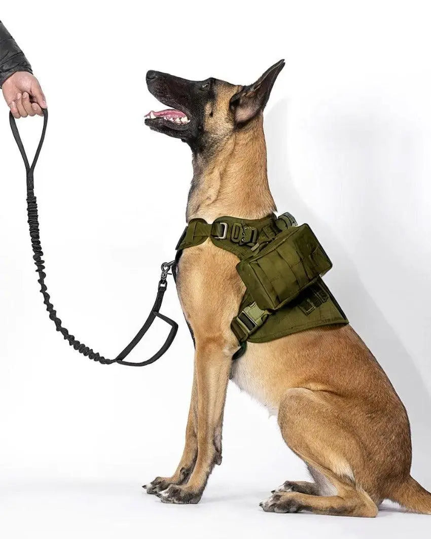 Leash Harness For Belgian Malinois Belgian Malinois Tactical Dog