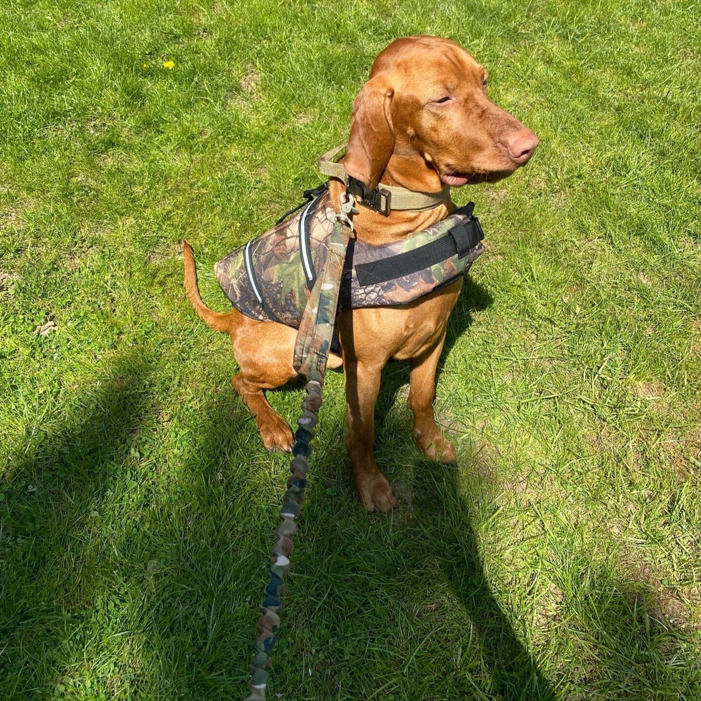 Tactical Military Bungee Dog Leash OnePaw OnePaw Dog Company