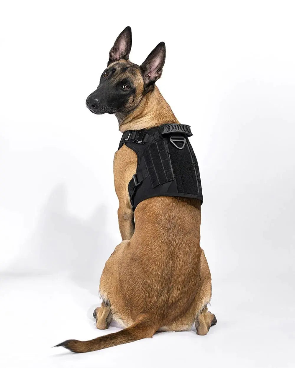 Icefang tactical clearance dog harness review