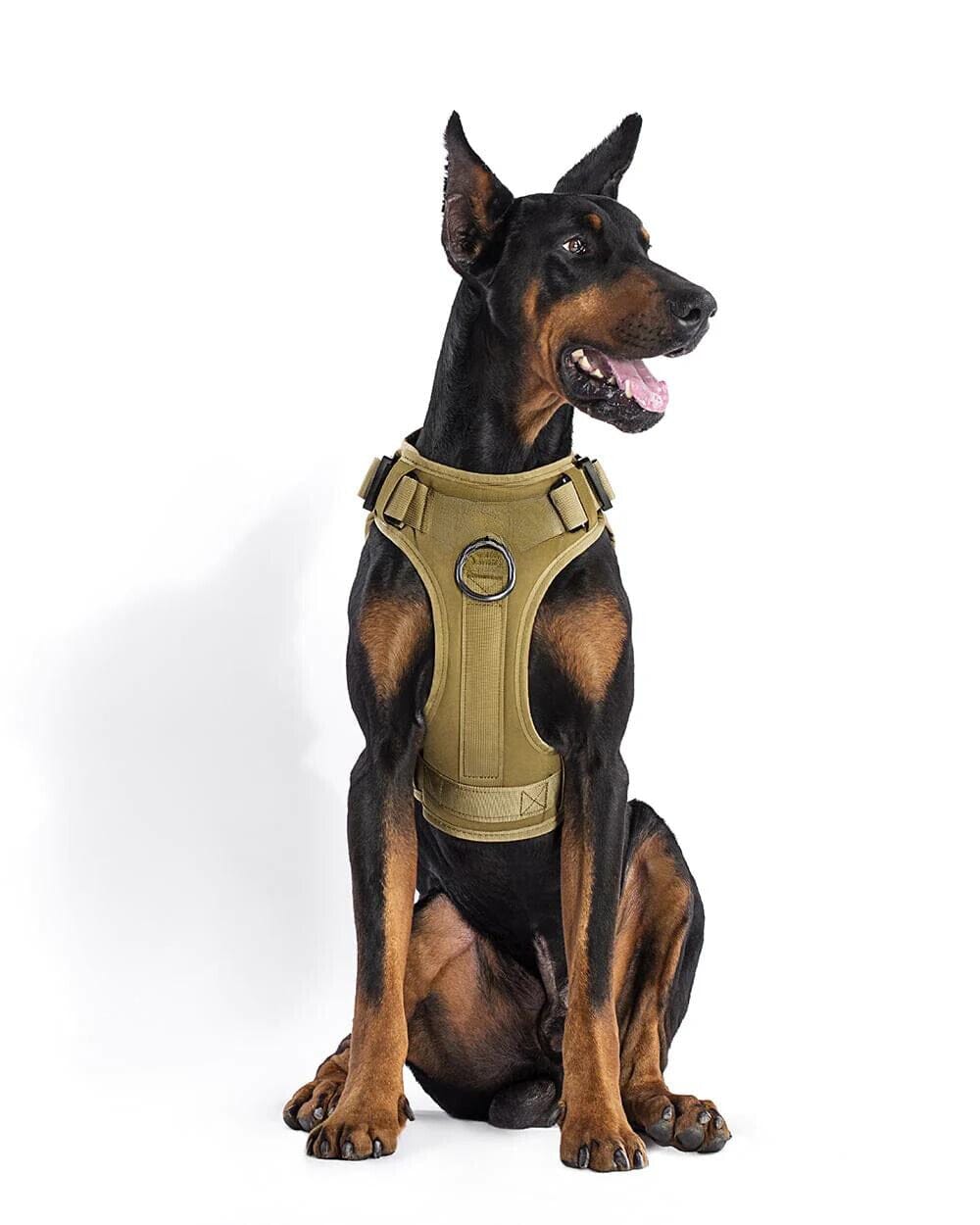 Tactical Dog Harness - Four Paws Gear