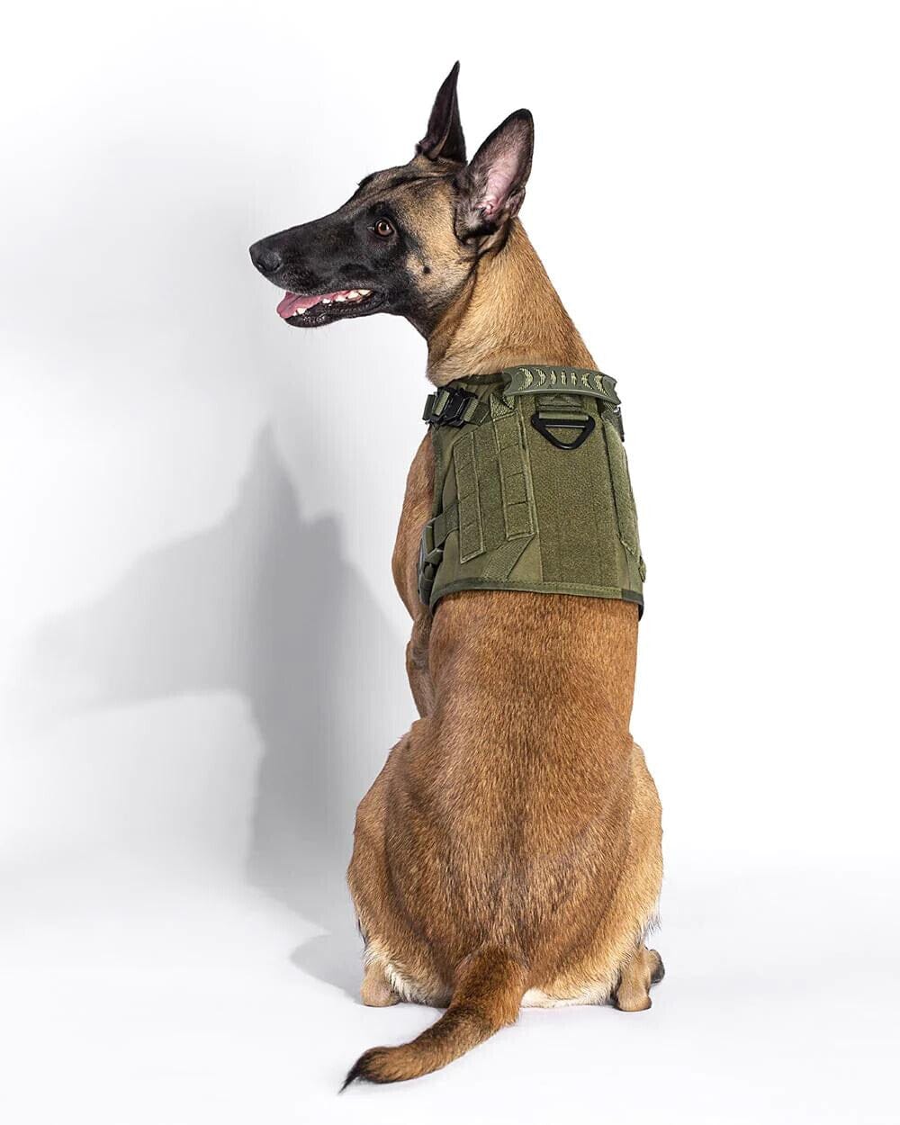 Ultimate Tactical Dog Gear Set  Leash & MOLLE Pouches - OnePaw – One Paw  Dog Company